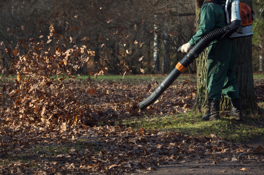 Male worker removes leaf blower lawn of garden.