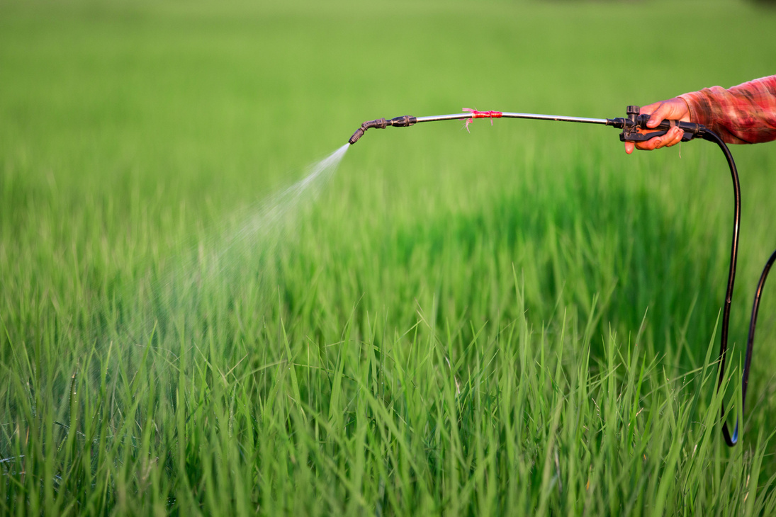 spraying pesticide